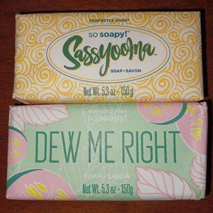 Perfectly Posh Big Bath Bars